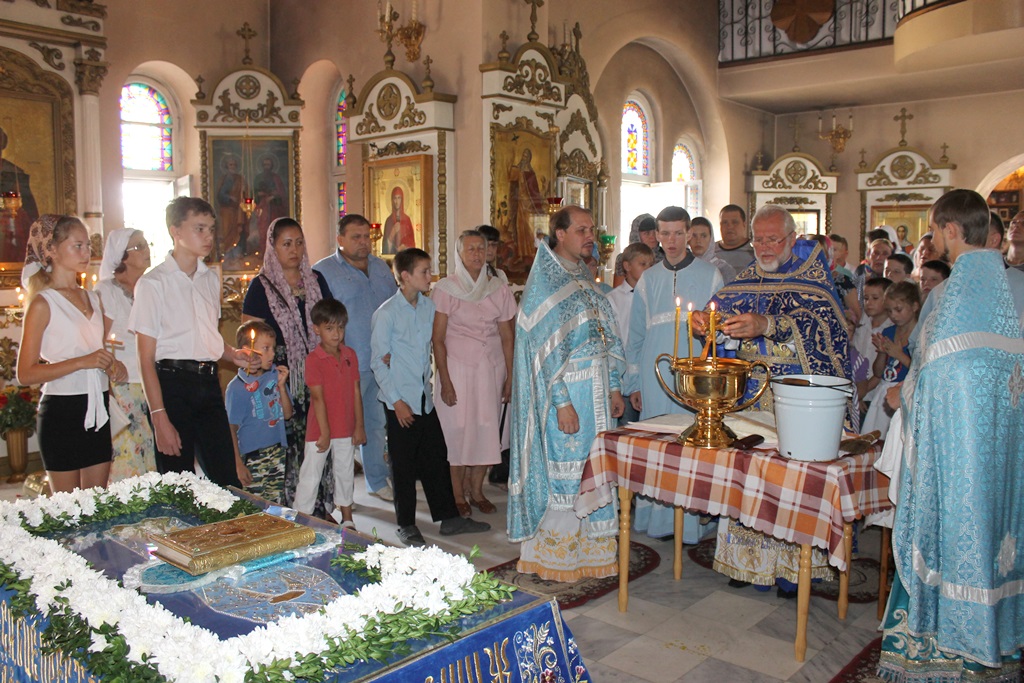 IMG 4664
